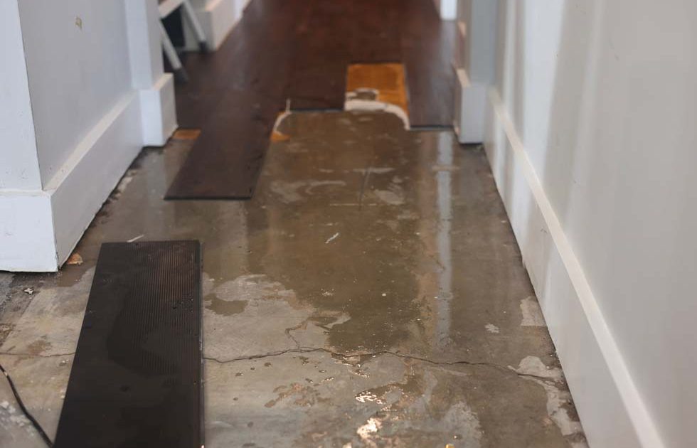 Intervention urgente après un dégât des eaux dans une habitation