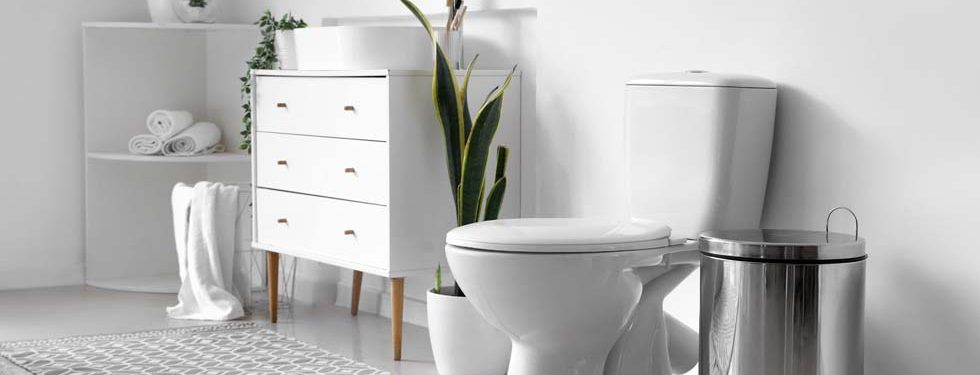 Installation de sanitaires dans une salle de bains avec toilettes modernes